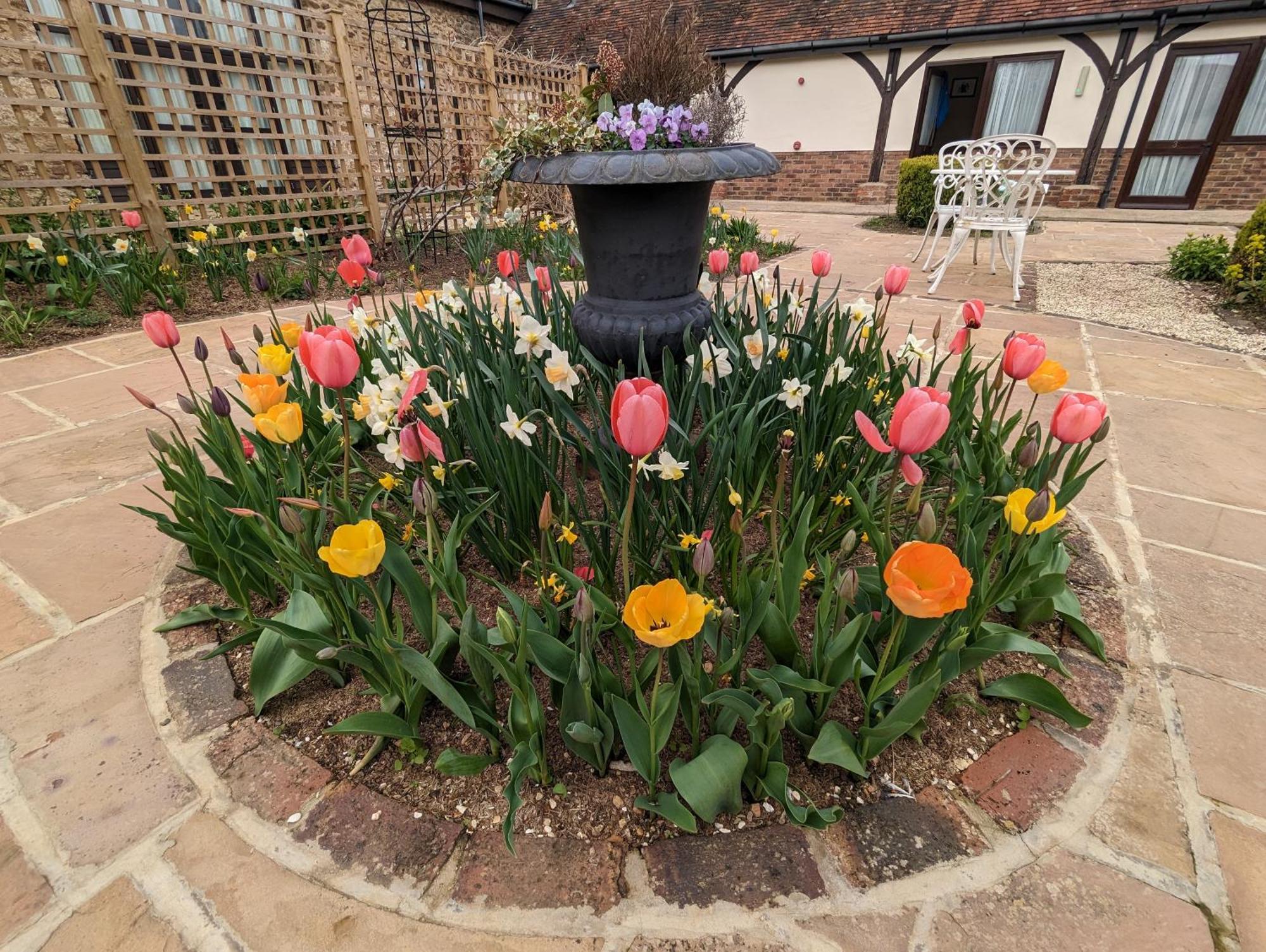 Kingfisher Barn B&B 애빙던 외부 사진